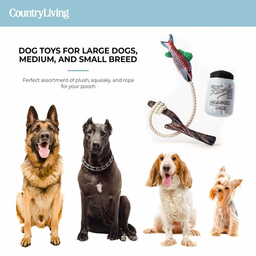 🎣 Durable Fish & Mason Jar Dog Toys – 2 Pack for Aggressive Chewers 🐶