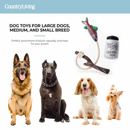 🎣 Durable Fish & Mason Jar Dog Toys – 2 Pack for Aggressive Chewers 🐶