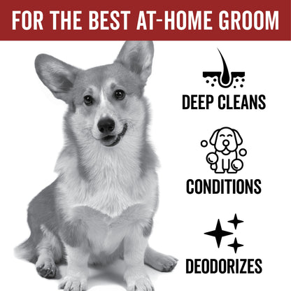 DOGDAYS Moisturizing Dog Conditioner — Hypoallergenic, Detangling, and Soothing for All Coat Types