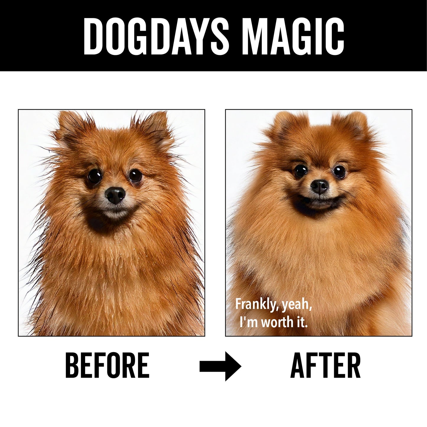 DOGDAYS Moisturizing Dog Conditioner — Hypoallergenic, Detangling, and Soothing for All Coat Types