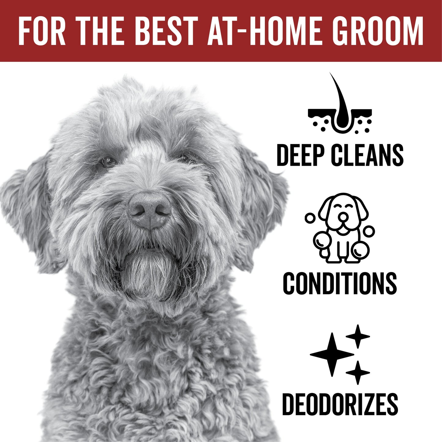 DOGDAYS Hydrating Dog Shampoo for Curly & Wavy Coats — Tear-Free, Vegan, and Hypoallergenic