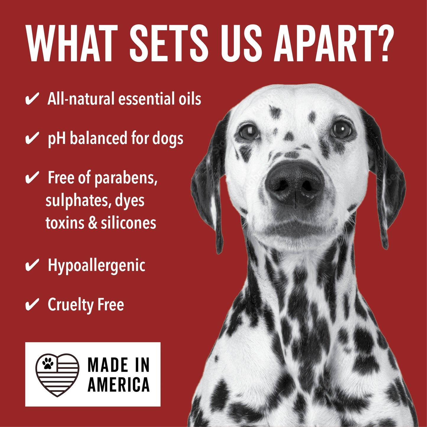 DOGDAYS Hydrating Dog Shampoo for Curly & Wavy Coats — Tear-Free, Vegan, and Hypoallergenic