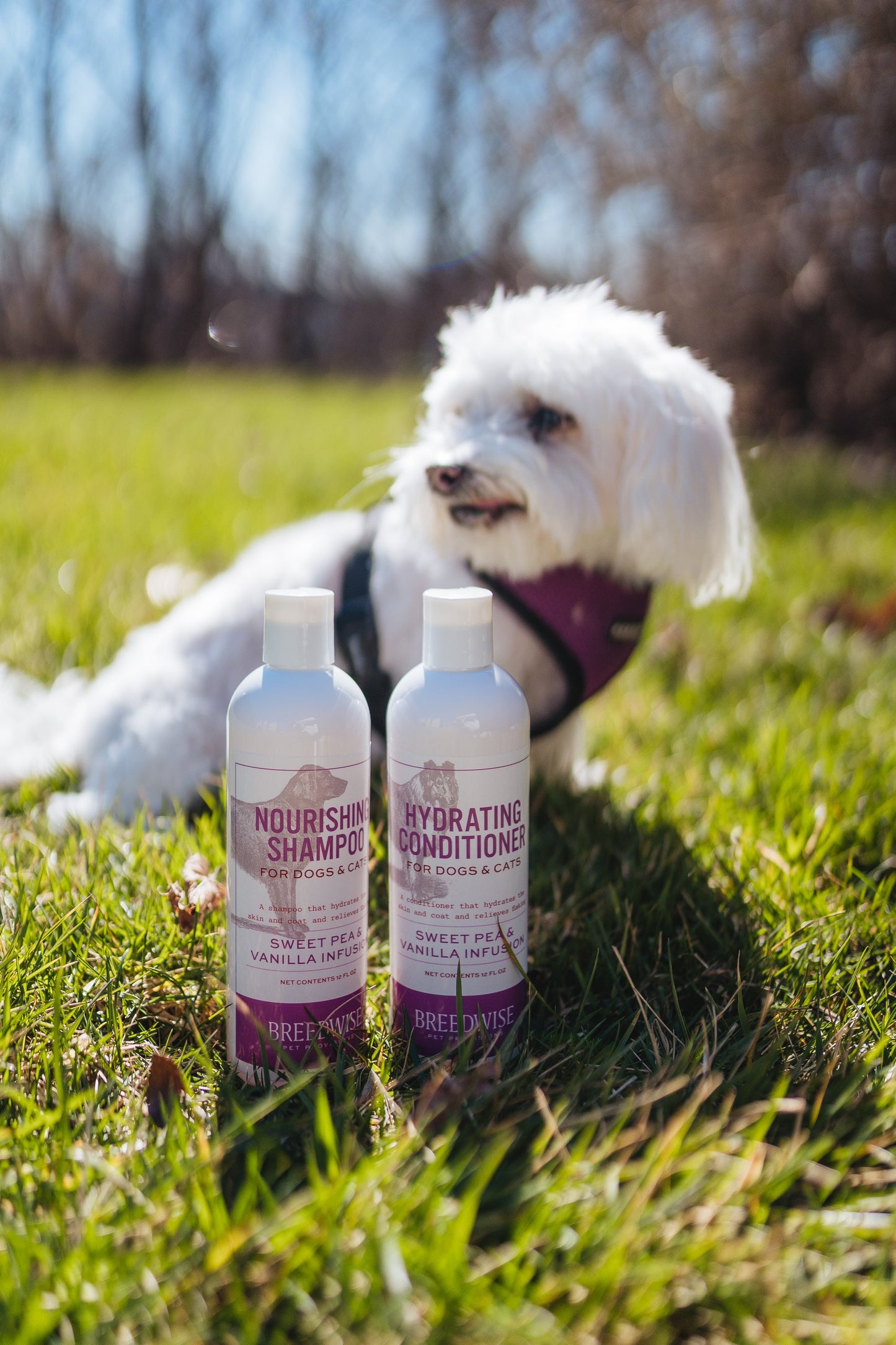 Pet Conditioner (12 Bottles) Wholesale