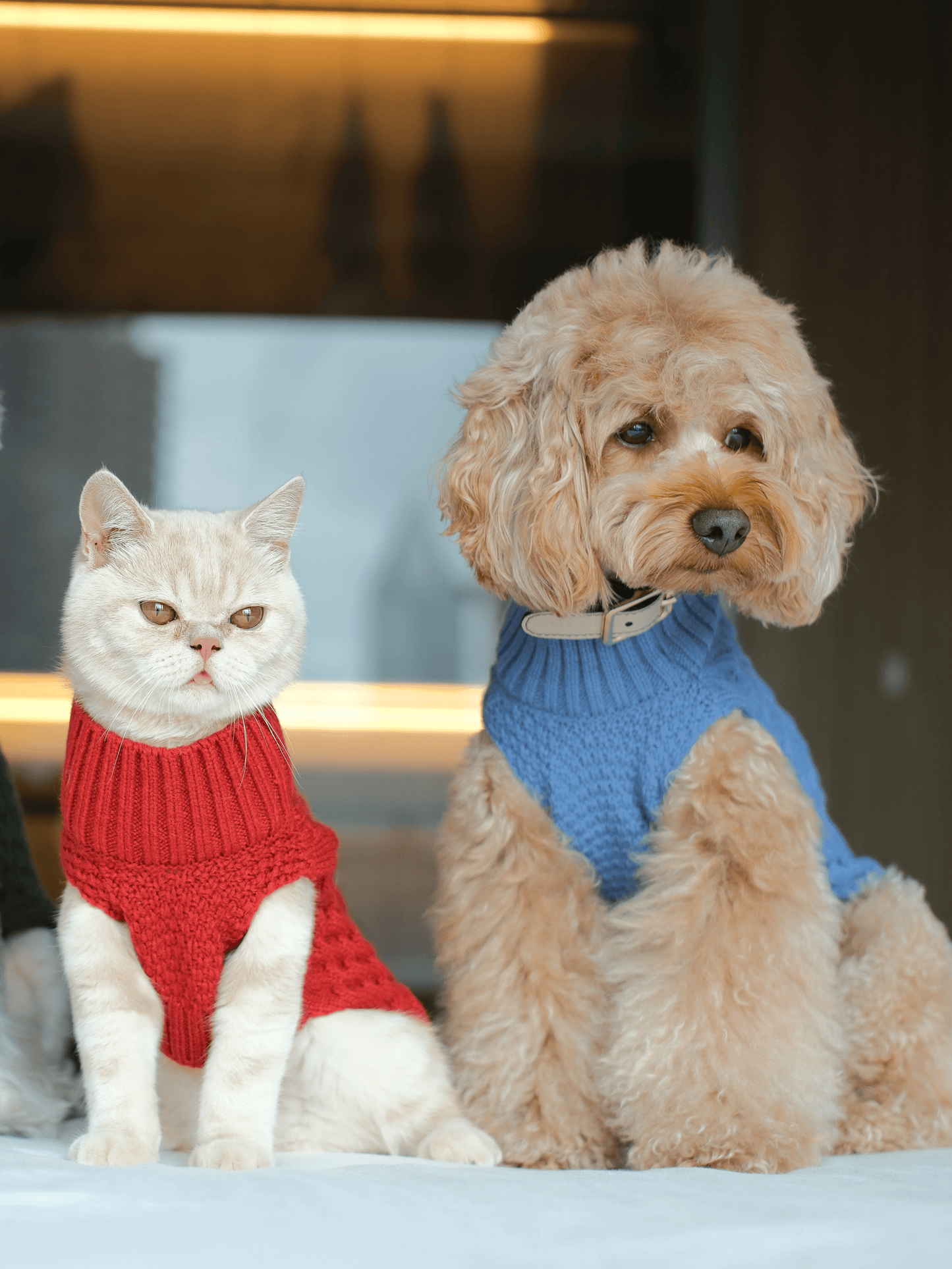Pet Sweater Vest - Ice Blue