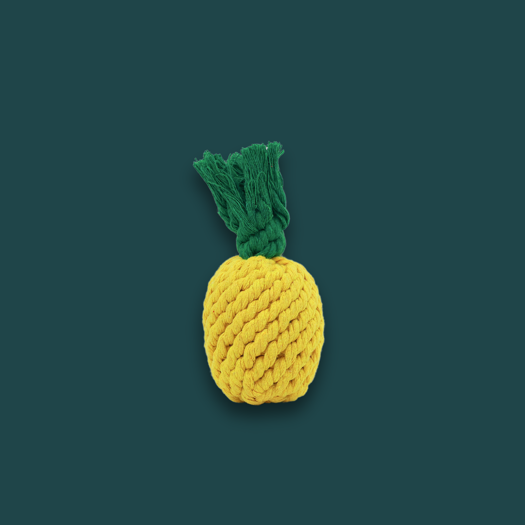 Handmade Small Pineapple Rope Toy-1