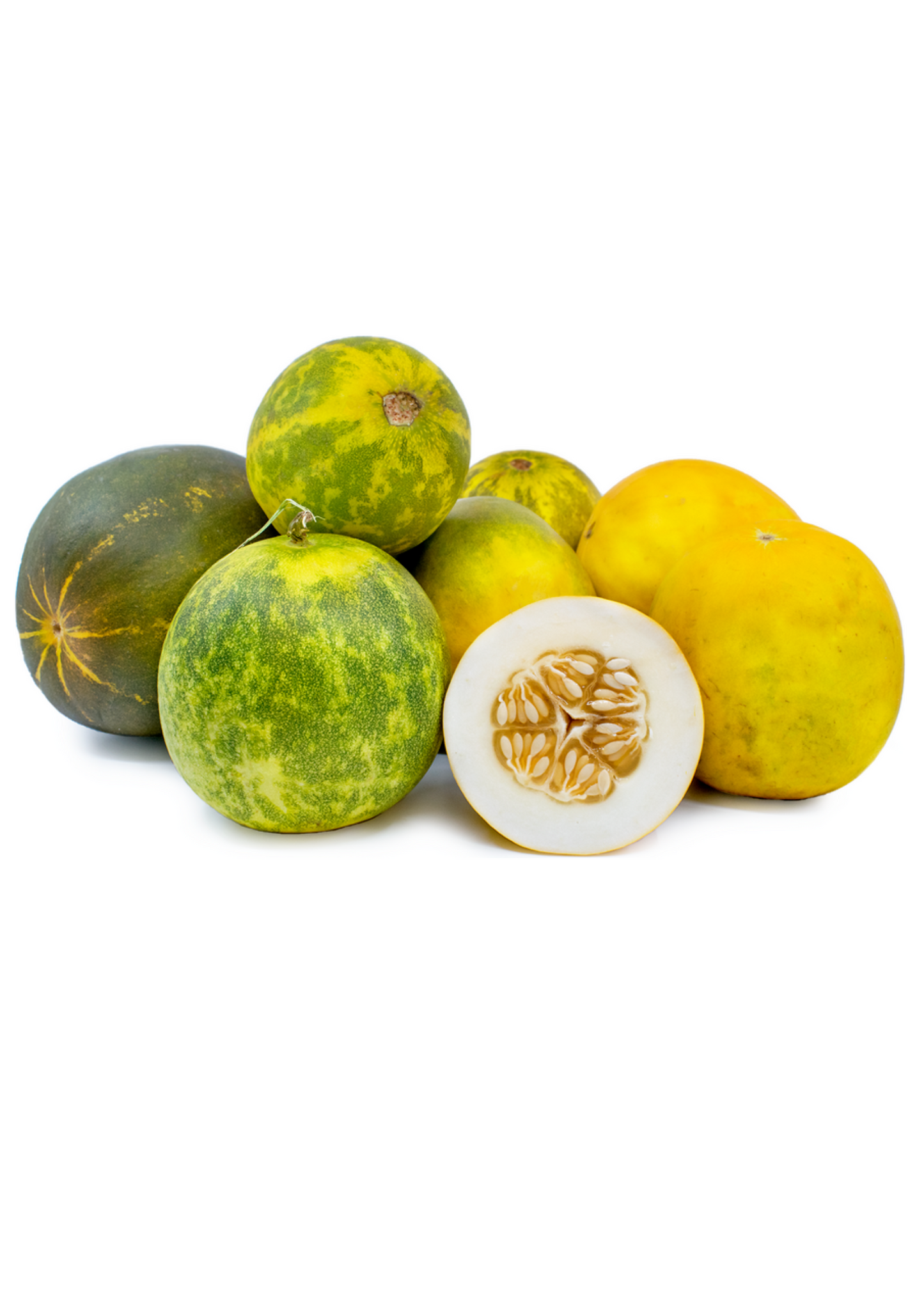 Dosakai Plant - Cucumis melo var. chito, Edible Fruit, Tropical Vine, South Indian Cuisine, Cucumber Family