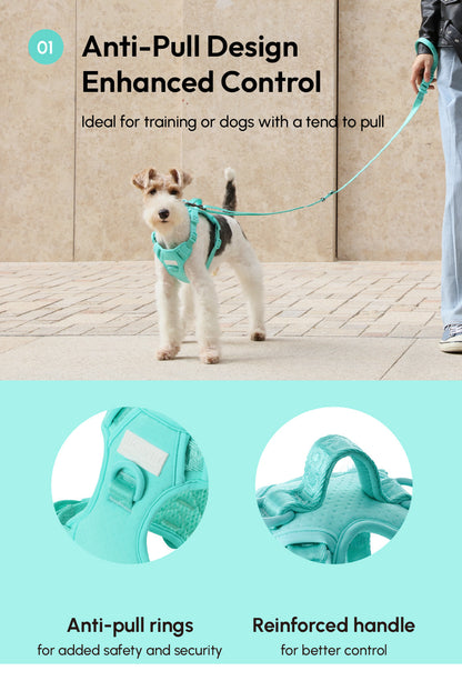 NO PULL ACTIVE  PET HARNESS - MINT GREEN