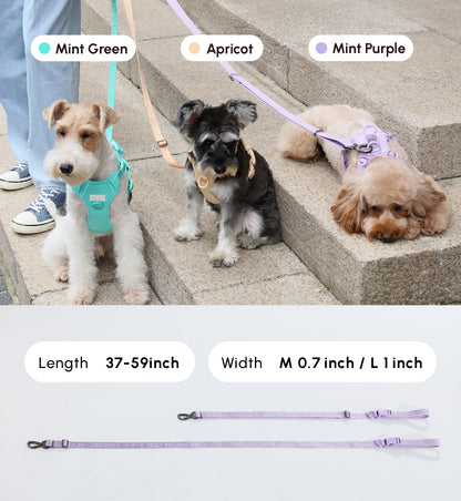 PADDED  ACTIVE  PET LEASH  - APRICOT