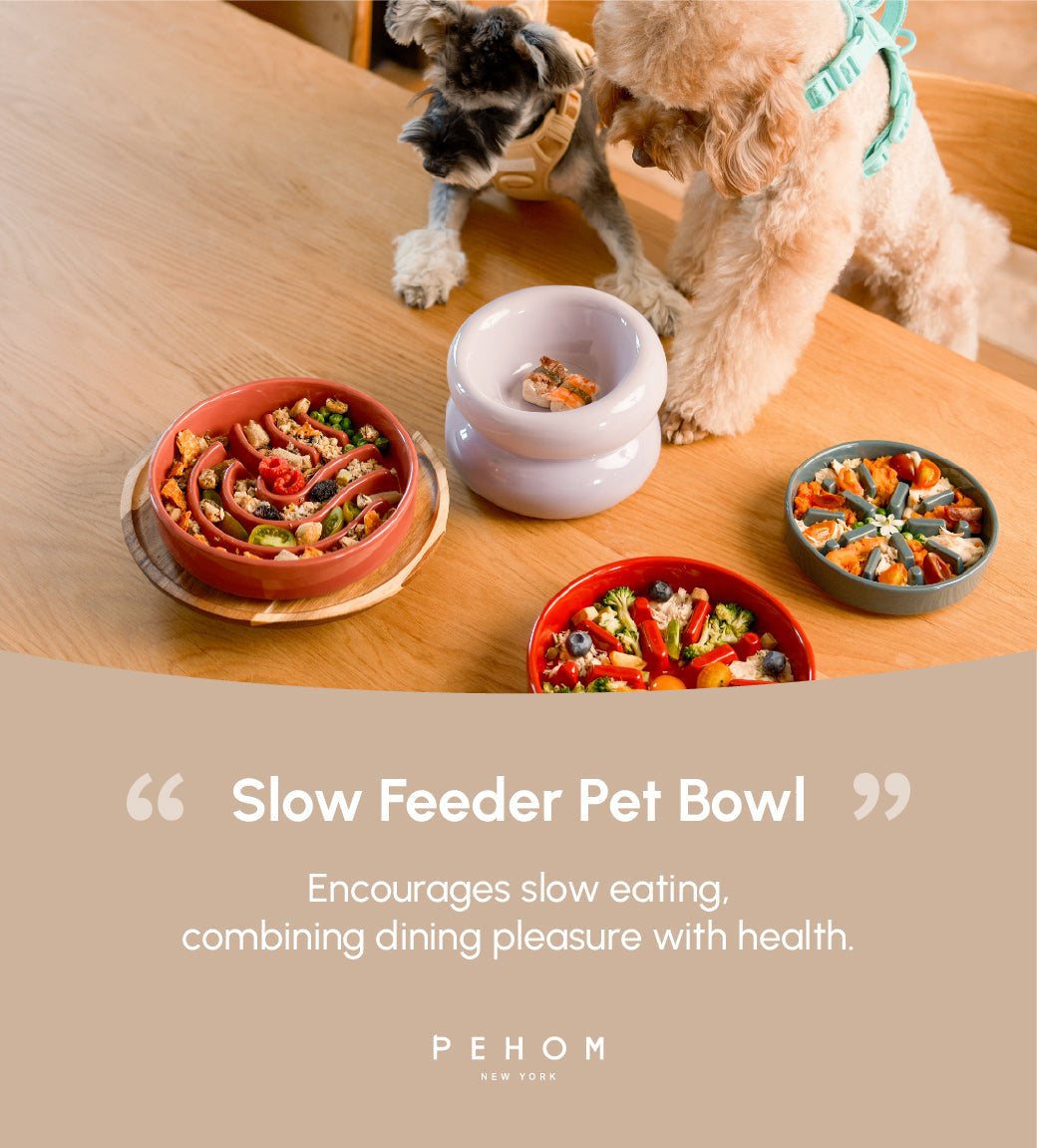 [Wave] Slow Feeder Dog Bowls - Beige / Orange