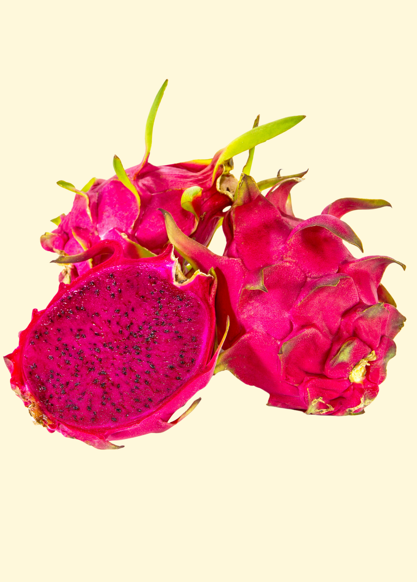 Dragon Fruit Plant 'Edgar's Baby' - Compact Magenta Flesh Hylocereus stenopterus x Hylocereus Guatemalensis
