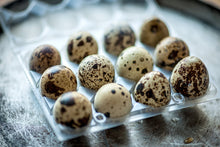 Quail Eggs (Feeder-Grade bobwhite and Coturnix)