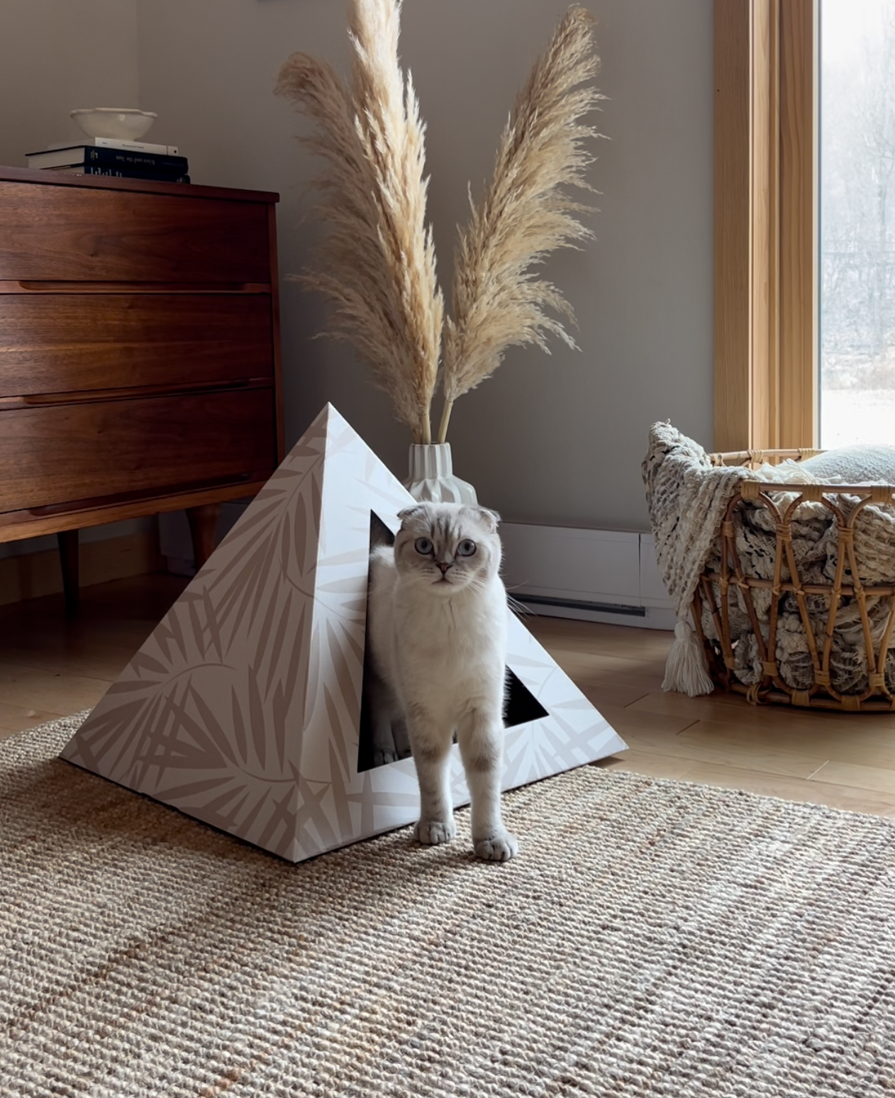 Neutral Palm Cardboard Cat Pyramid