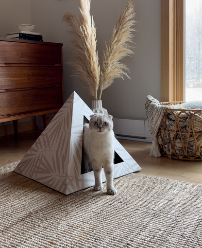 Neutral Palm Cardboard Cat Pyramid
