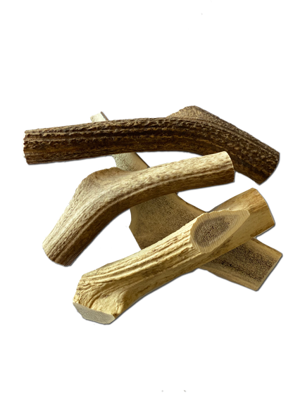 Extra Large Elk Chew