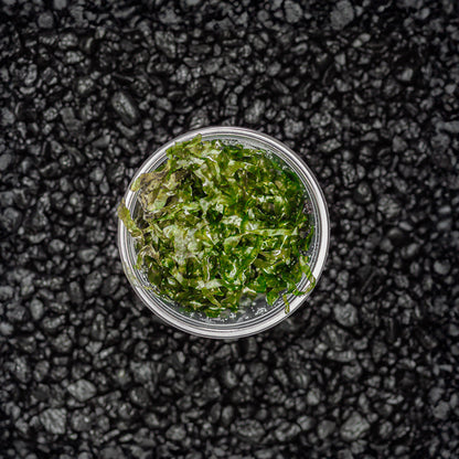 Subwassertang