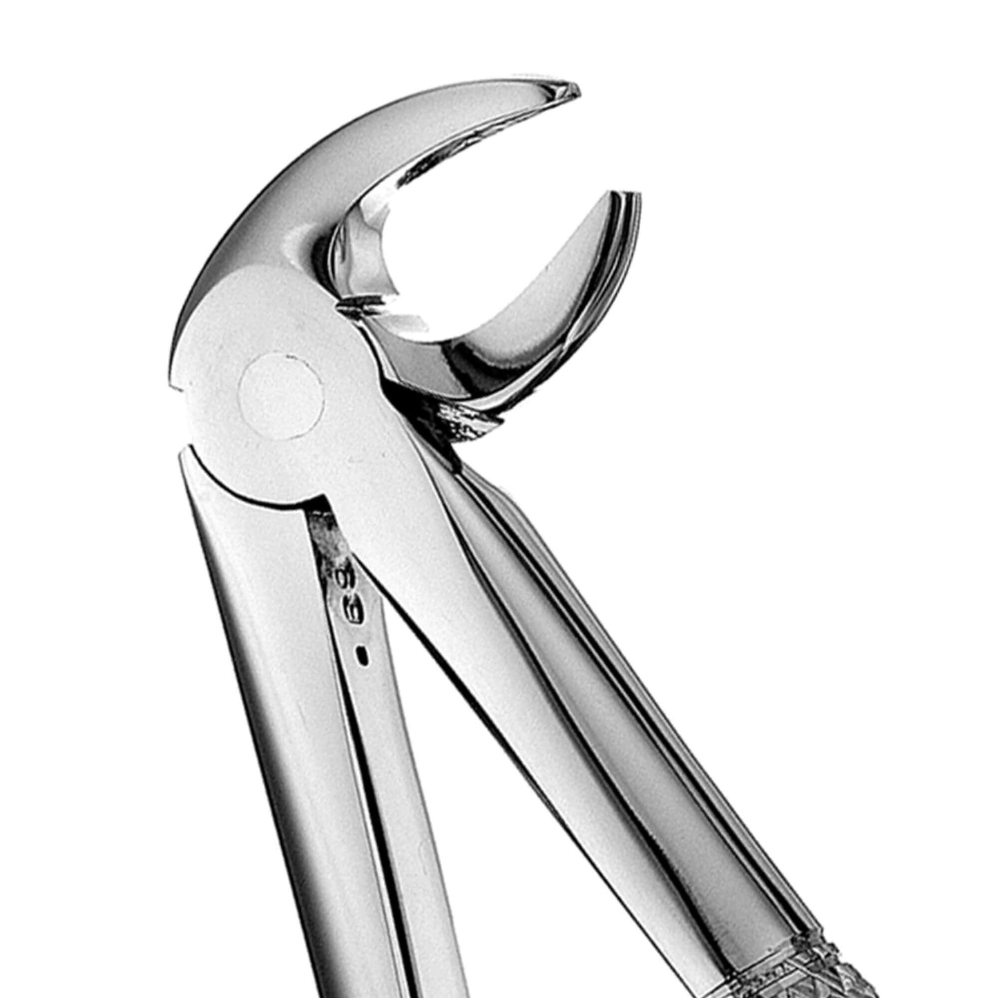 Dental Forcep #MD3