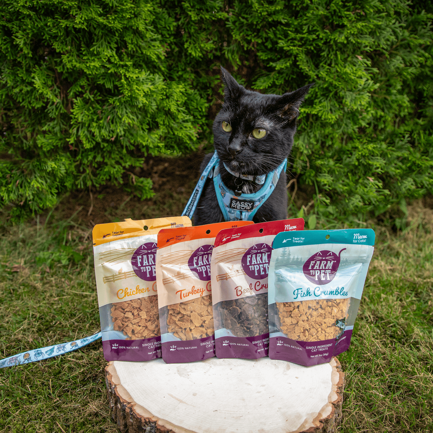 Fish Crumbles For Cats All Natural Fish Cat Treats