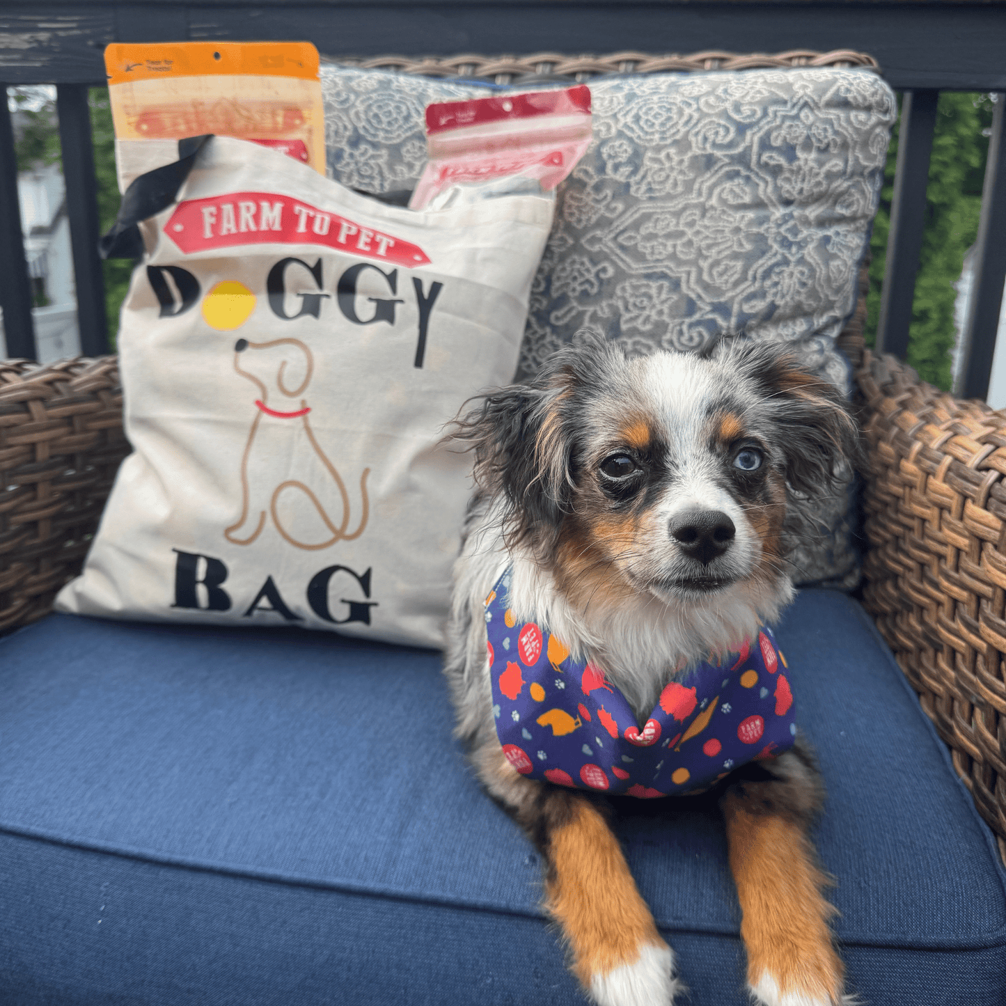 Farm To Pet Tote Bag Paw Some Gift For Animal Lovers
