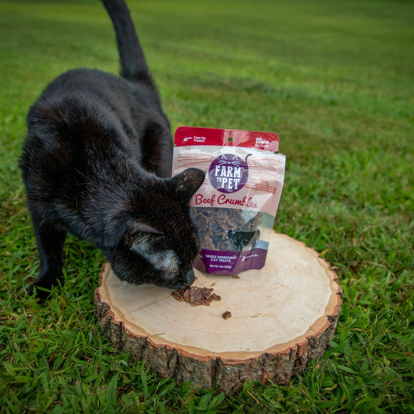 Beef Crumbles Cat Treats High Protein Treats For Cats