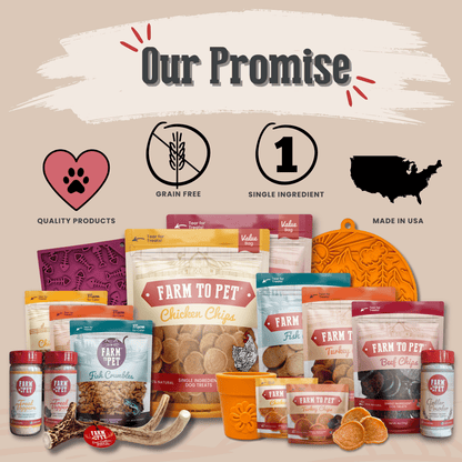 Dog Mom Era T Shirt Paw Fect Gift For Dog Moms