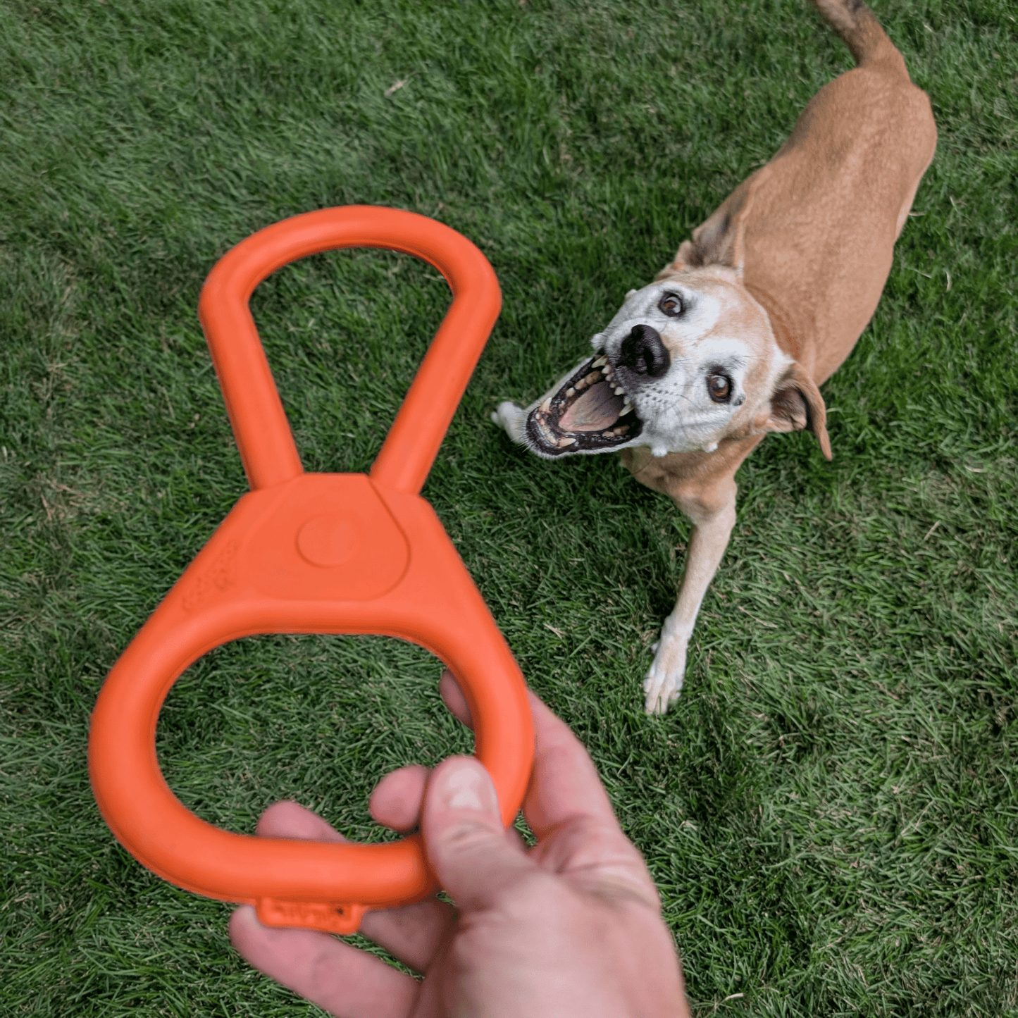 Tug Toys