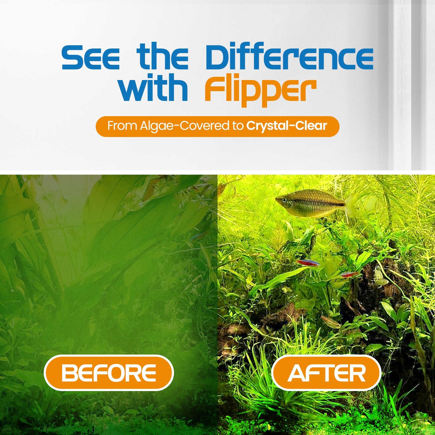 Flipper Platinum Aquarium Algae Scraper 18