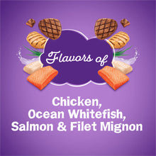 Friskies Surfin' & Turfin' Favorites With Flavors of Chicken, Ocean Whitefish, Salmon & Filet Mignon Dry Cat Food
