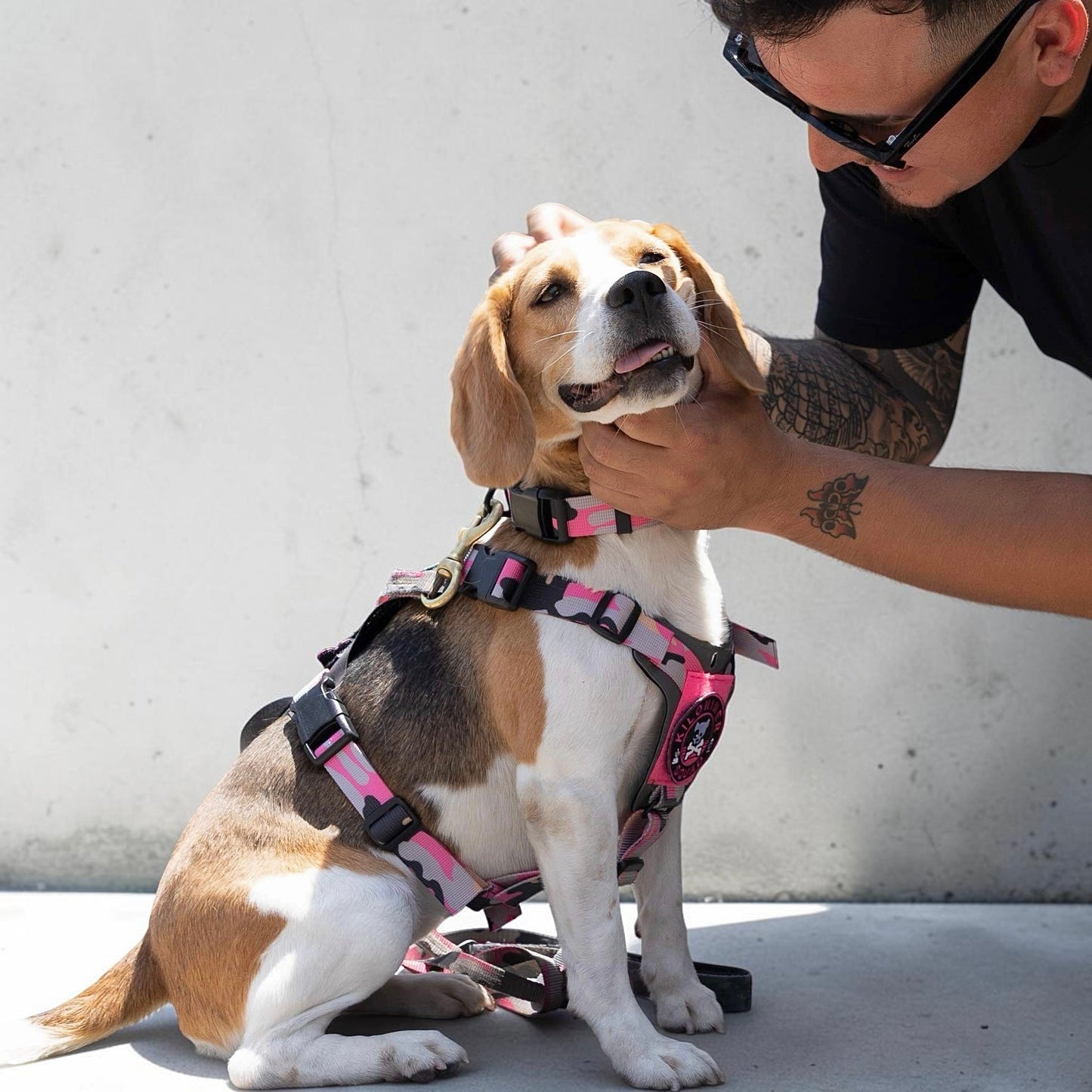 K9R - M1 LightSpeed Harness