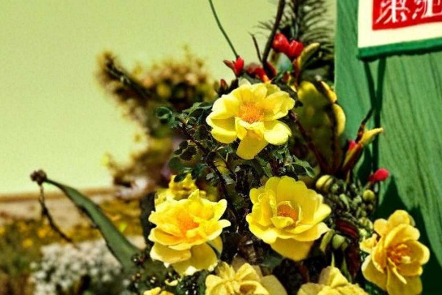 Golden Shower Climbing Rose Plant 1 Gal Live Yellow Rose Bush for Trellis, Fence, Garden Landscaping Rosa â€˜Golden Showersâ€™