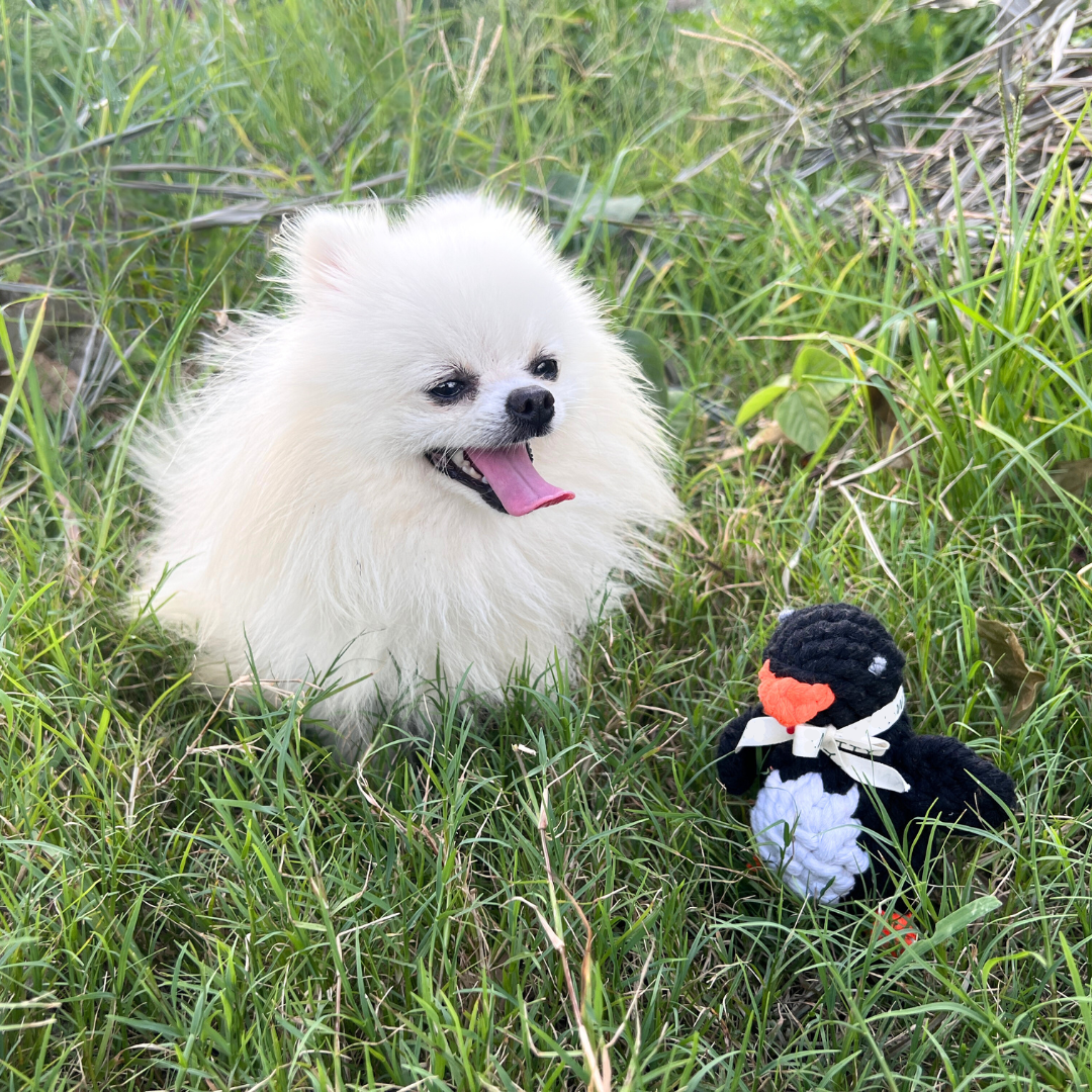 Kaixin the Penguin Rope Toy