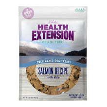 Health Extension Grain Free Salmon & Kale Dog Treat (6oz)