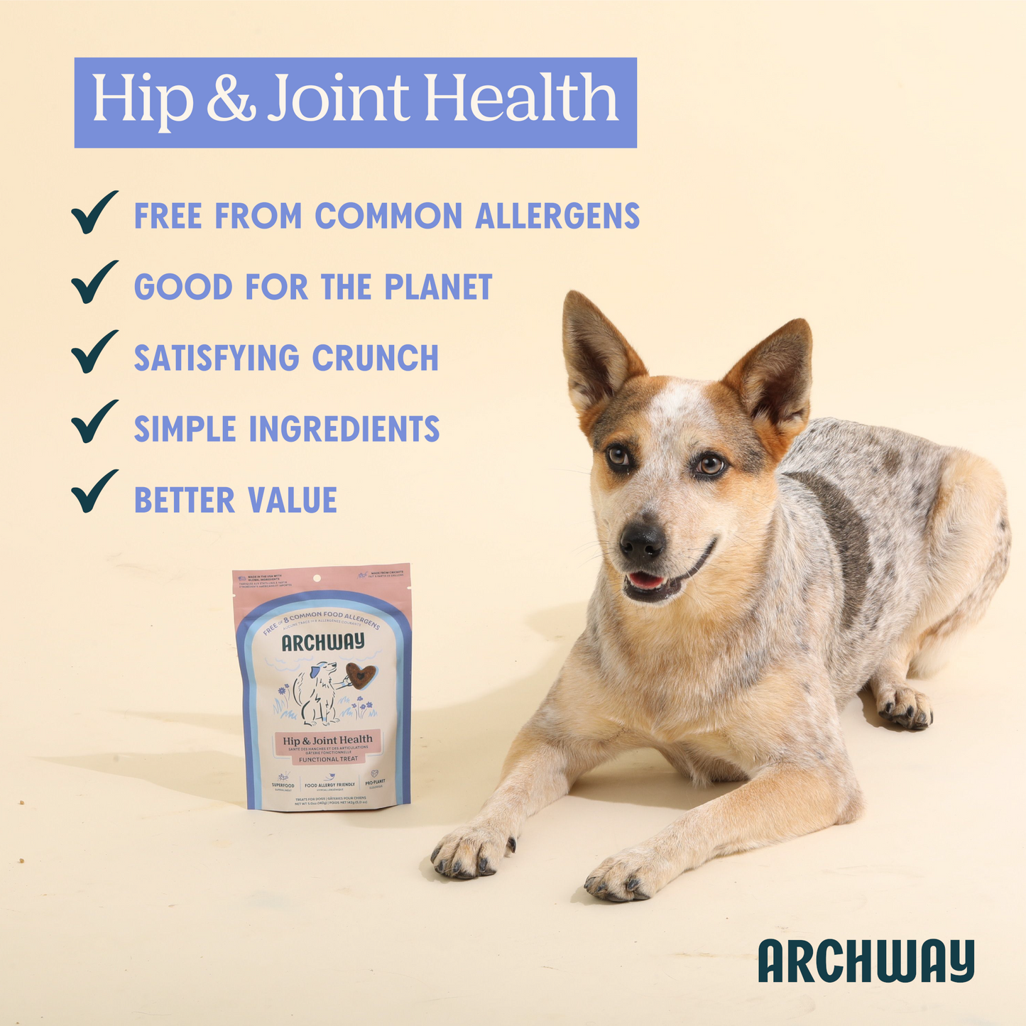Hip Joint Health