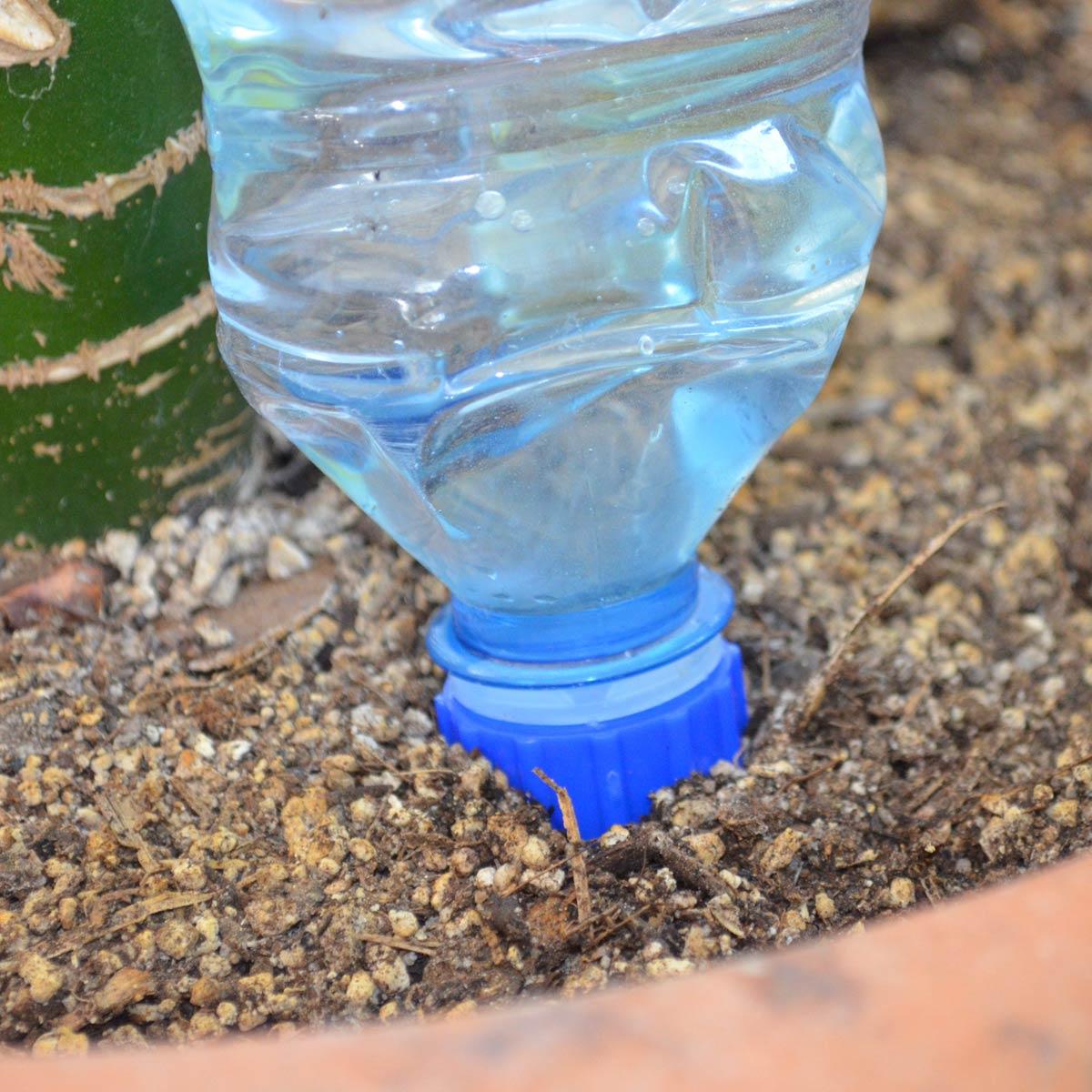 Bottle Cap Adapter for Blumat Systems