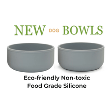 Dog Or Cat Food Water Bowl Set