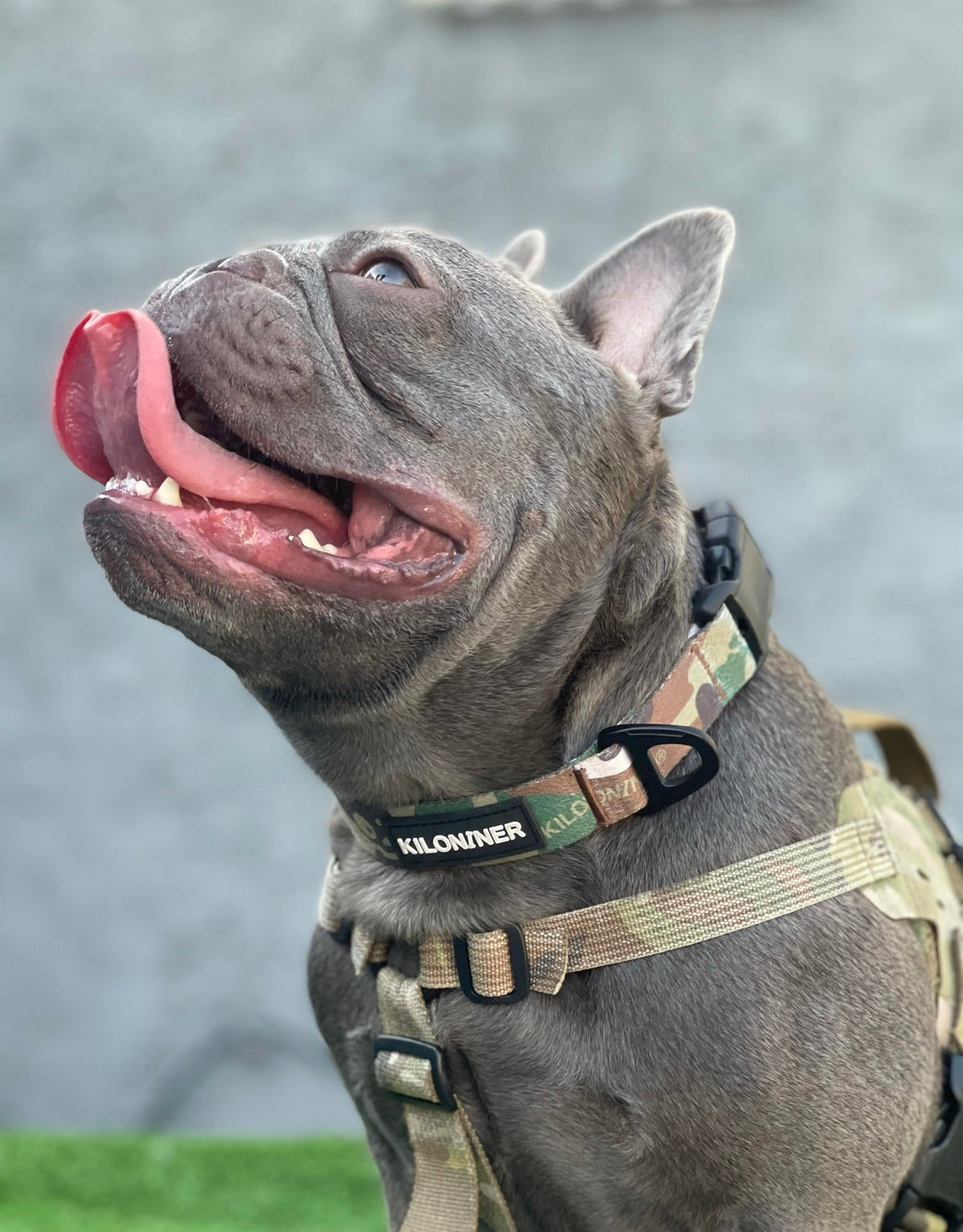 Strike Collar
