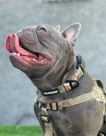 Strike Collar