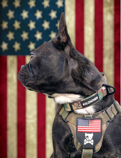 Strike Collar