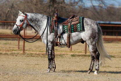 1313DOM-56 Domino 40X34 New Zealand Wool Saddle Blanket