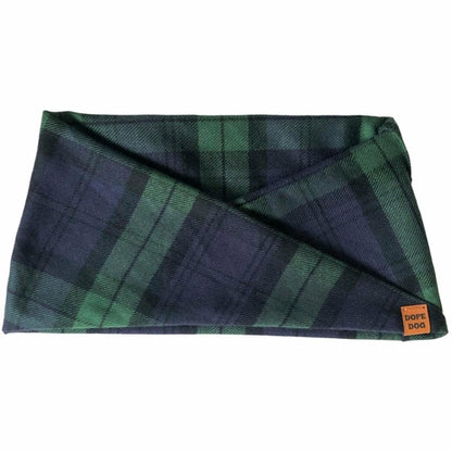 Feelin' Lucky Dog Scarf