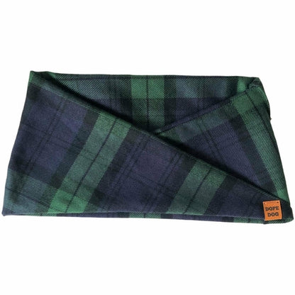 Feelin' Lucky Dog Scarf