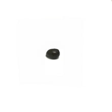 Olive Nerite Snails