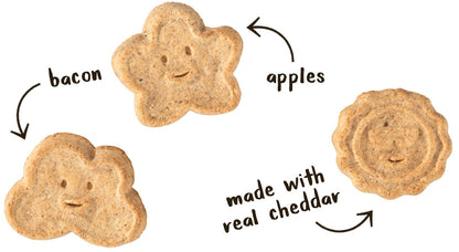 Wagmore Oats & Grains Bacon, Cheese & Apple Crunchy Biscuits Dog Treats (16oz)