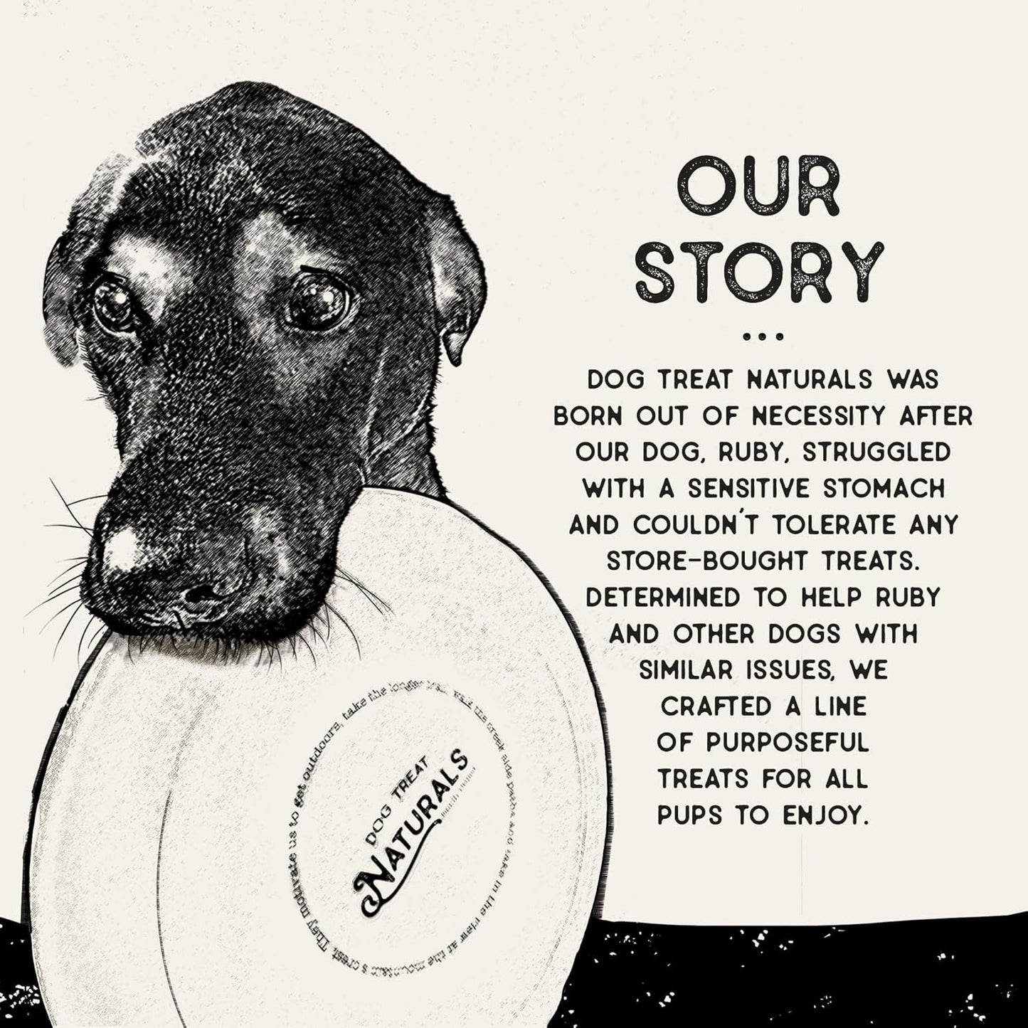 Dental Treat Naturals Superfood Sticks, Sweet Potato & Quinoa Dog Treats (10oz)