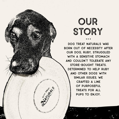 Dental Treat Naturals Superfood Sticks, Sweet Potato & Quinoa Dog Treats (10oz)