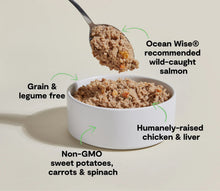 Open Farm Grain Free Chicken & Salmon Pate Wet Dog Food (12.5oz)