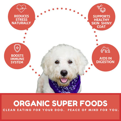 Dog Mamma's Organic Apple Cranberry Oven Baked Dog Treats (6oz)