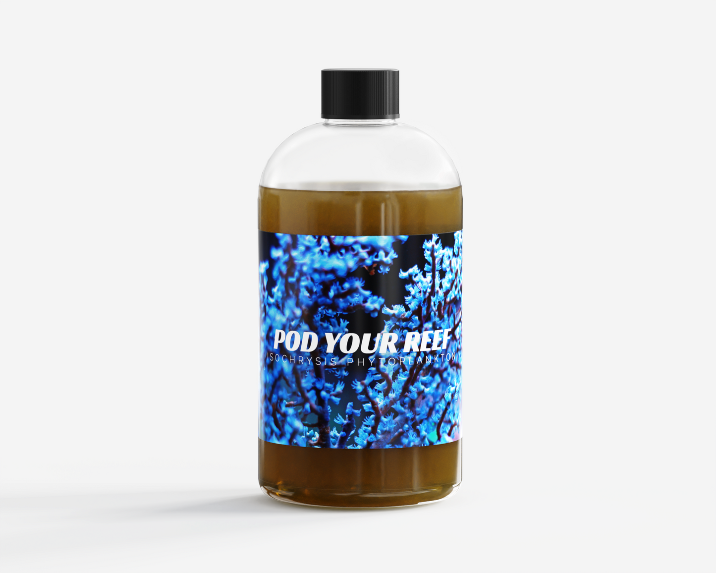 Isochrysis Galbana Phytoplankton