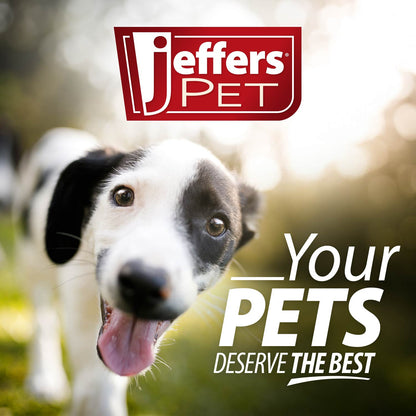Jeffers Blue Bone Stamped Frisbee Natural Rubber 8 Inch Dog Toy for Fetching & Chewing