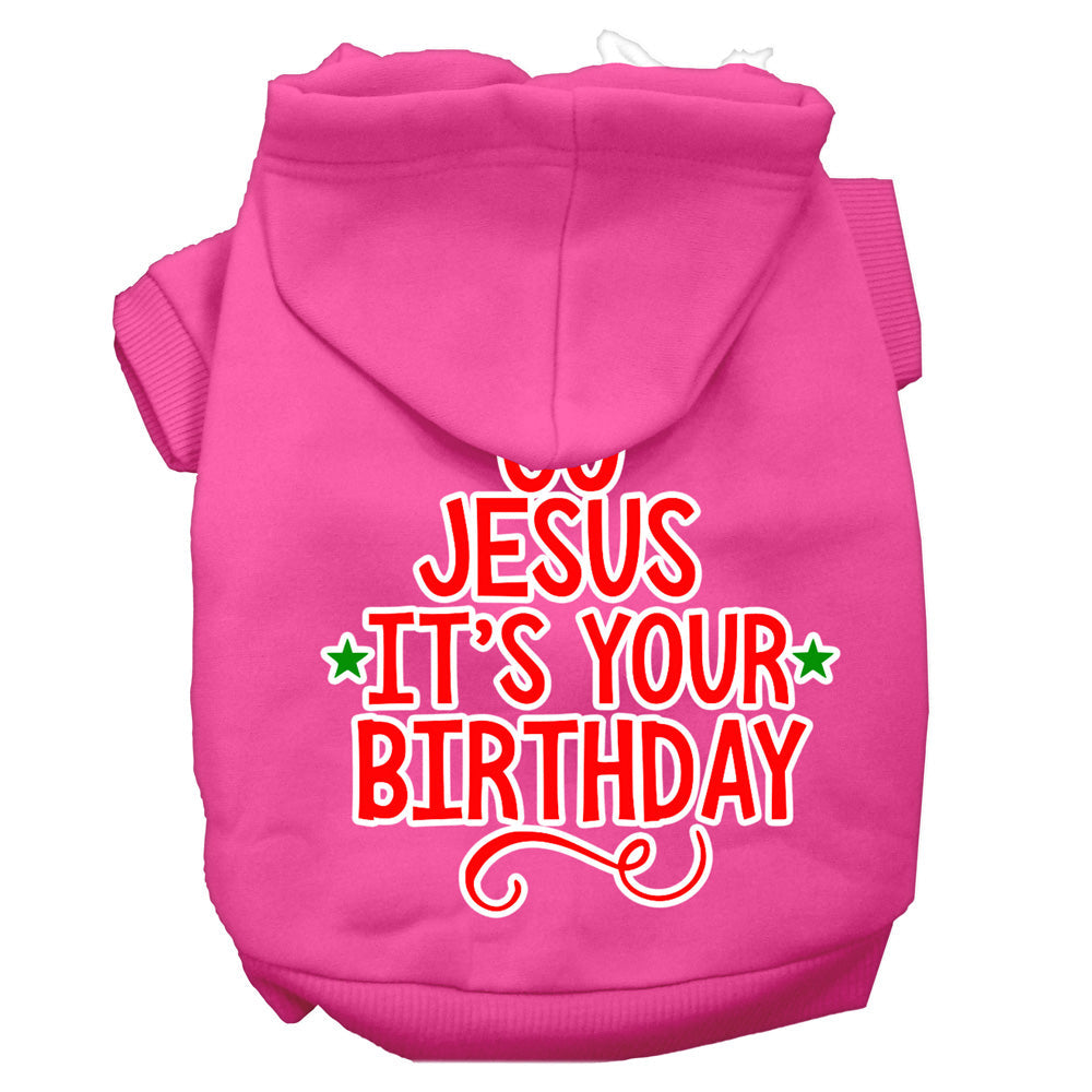 Christmas Pet Hoodie "Go Jesus, It's Your Birthday"