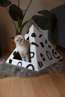 Doodle Cardboard Cat Pyramid